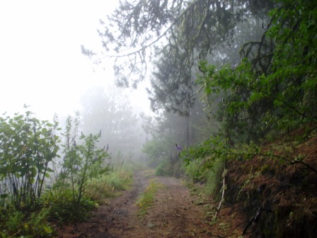 Carretera Mil Cumbres